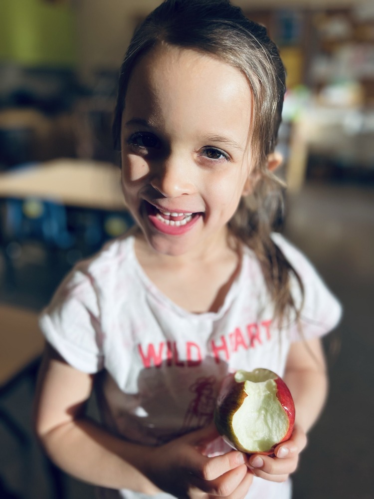 481297150 1207531994710277 3678622906955368297 n