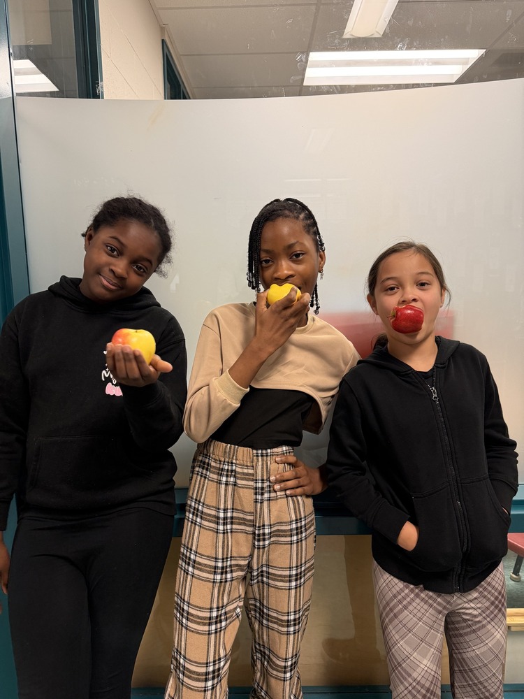 658365222 1542714881191985 4277640019327005712 n